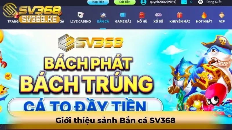 ban-ca-sv368-2
