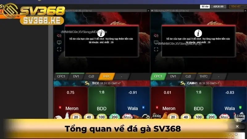 da-ga-sv368-2