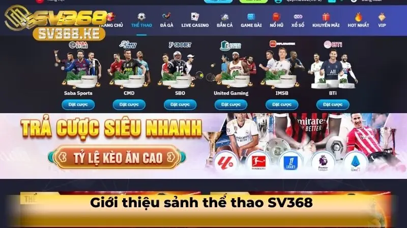the-thao-sv368-2