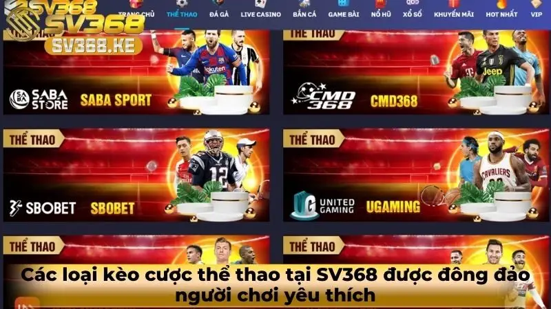 the-thao-sv368-3